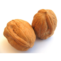 Walnuts